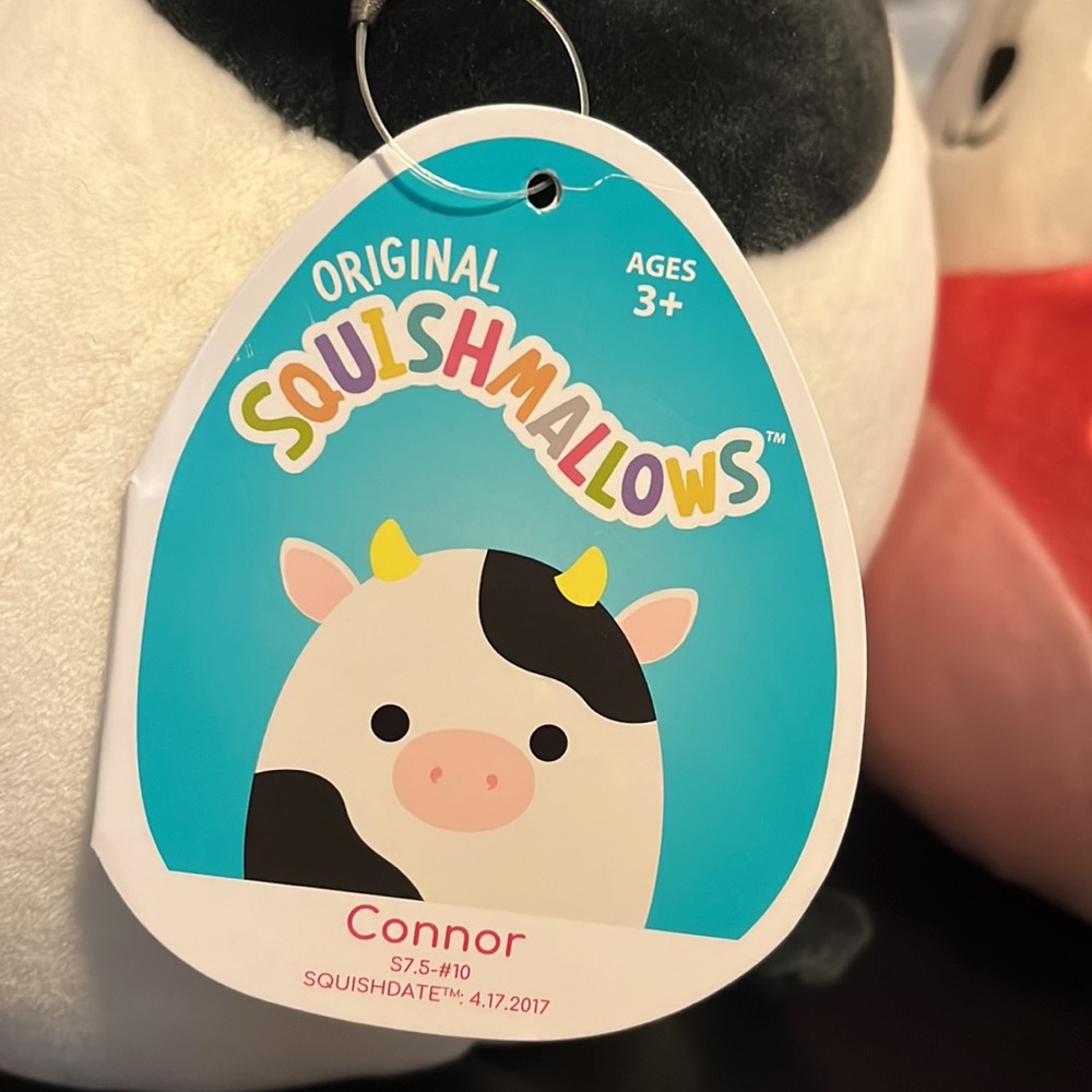 ‼️‼️SALE‼️‼️Squishmallow bundle! - Picture 4 of 6